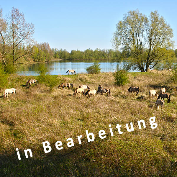 Bildbearbeitung